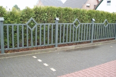 zaun1